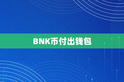 BNK币付出钱包