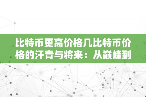 比特币更高价格几比特币价格的汗青与将来：从巅峰到挑战