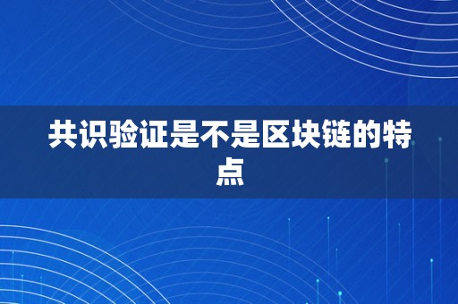 共识验证是不是区块链的特点