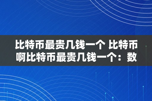 比特币最贵几钱一个 比特币啊比特币最贵几钱一个：数字货币的巅峰与将来