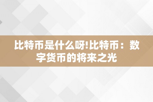 比特币是什么呀!比特币：数字货币的将来之光