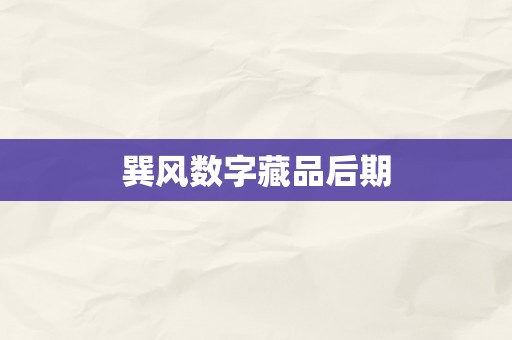 巽风数字藏品后期