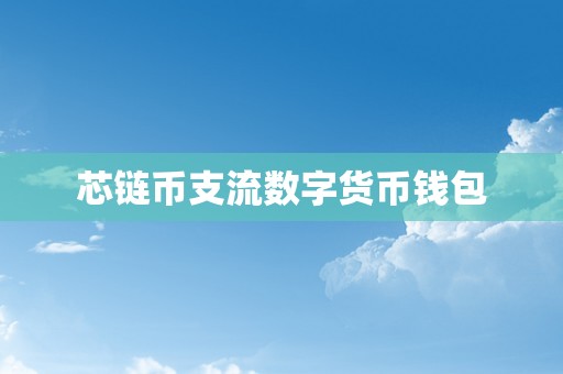 芯链币支流数字货币钱包