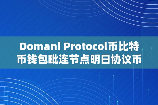 Domani Protocol币比特币钱包毗连节点明日协议币比特币钱包毗连节点详解