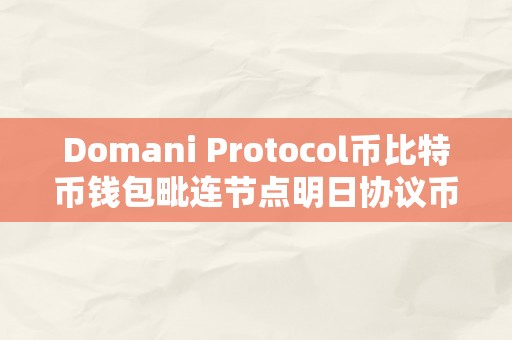 Domani Protocol币比特币钱包毗连节点明日协议币比特币钱包毗连节点详解