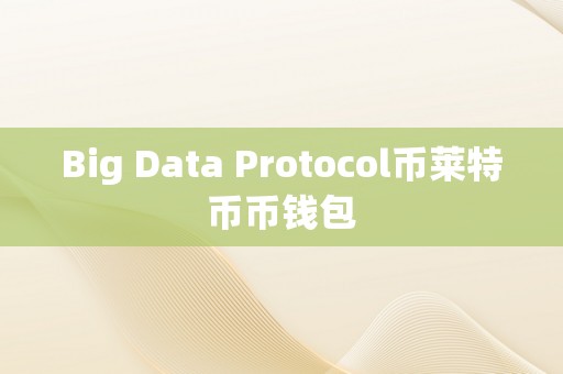 Big Data Protocol币莱特币币钱包