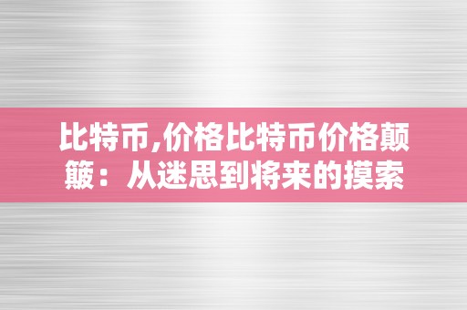 比特币,价格比特币价格颠簸：从迷思到将来的摸索