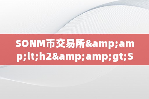 SONM币交易所&amp;lt;h2&amp;gt;SONM币交易所的深度解析&amp;lt;/h2&amp;gt;