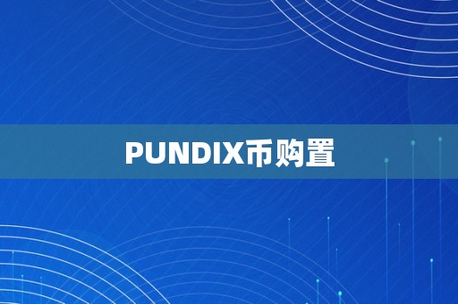 PUNDIX币购置