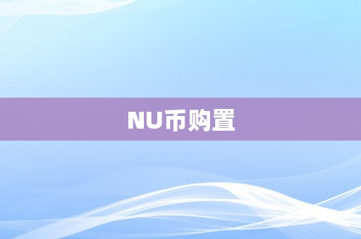 NU币购置