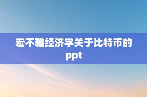 宏不雅经济学关于比特币的ppt