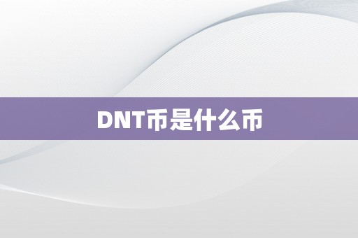 DNT币是什么币