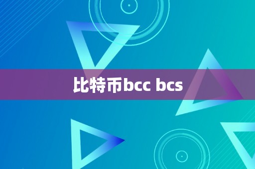 比特币bcc bcs