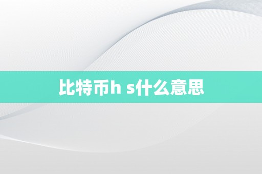 比特币h s什么意思