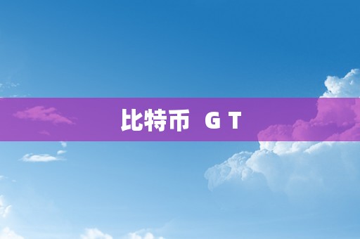 比特币  G T