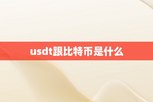 usdt跟比特币是什么