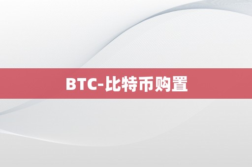 BTC-比特币购置