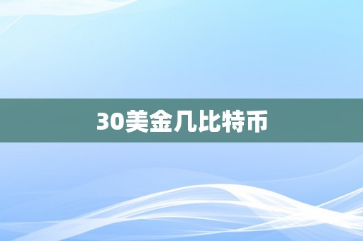 30美金几比特币