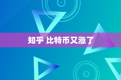 知乎 比特币又涨了