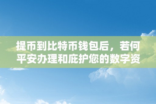 提币到比特币钱包后，若何平安办理和庇护您的数字资产