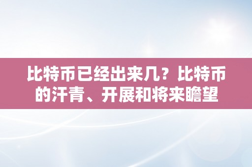 比特币已经出来几？比特币的汗青、开展和将来瞻望