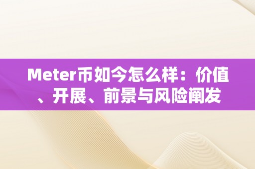 Meter币如今怎么样：价值、开展、前景与风险阐发