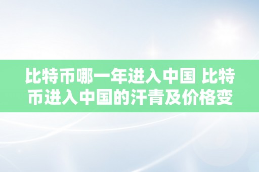 比特币哪一年进入中国 比特币进入中国的汗青及价格变更 比特币哪一年进入中国的价格几