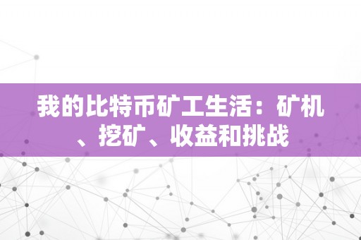 我的比特币矿工生活：矿机、挖矿、收益和挑战