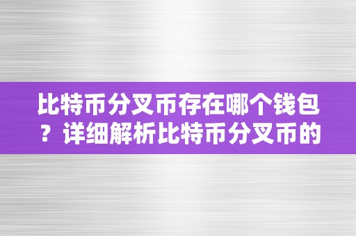 比特币分叉币存在哪个钱包？详细解析比特币分叉币的各类钱包