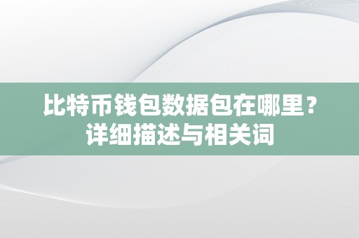 比特币钱包数据包在哪里？详细描述与相关词