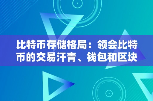 比特币存储格局：领会比特币的交易汗青、钱包和区块链