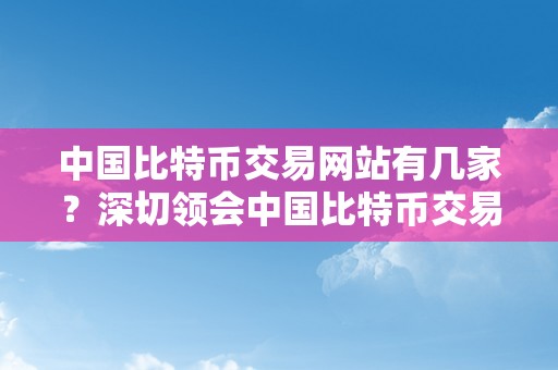 中国比特币交易网站有几家？深切领会中国比特币交易行业的现状及开展前景