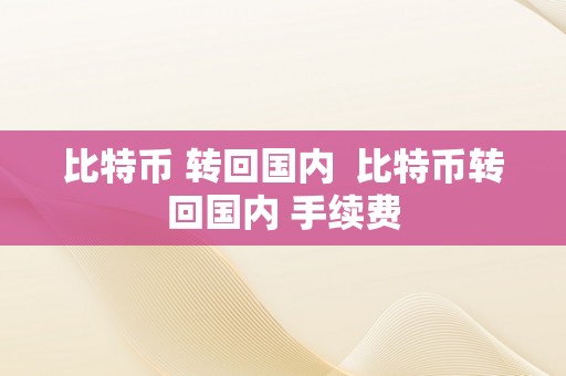 比特币 转回国内  比特币转回国内 手续费