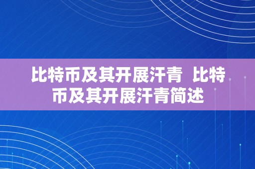 比特币及其开展汗青  比特币及其开展汗青简述