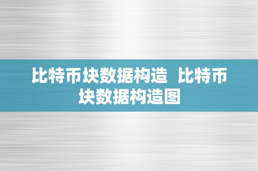 比特币块数据构造  比特币块数据构造图