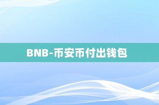 BNB-币安币付出钱包  