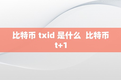 比特币 txid 是什么  比特币t+1