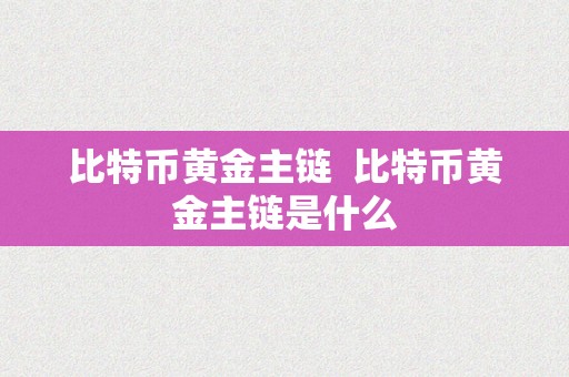 比特币黄金主链  比特币黄金主链是什么