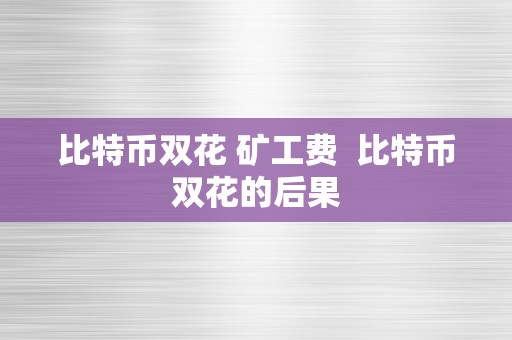 比特币双花 矿工费  比特币双花的后果