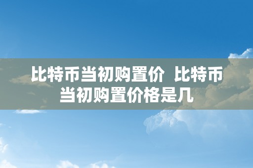 比特币当初购置价  比特币当初购置价格是几