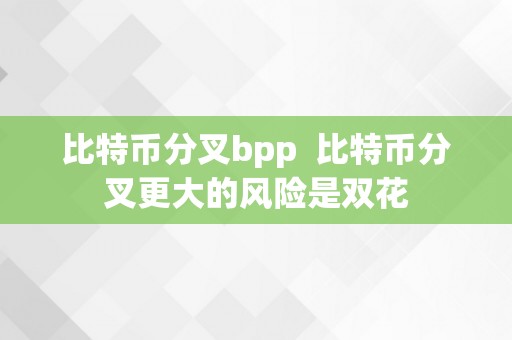 比特币分叉bpp  比特币分叉更大的风险是双花