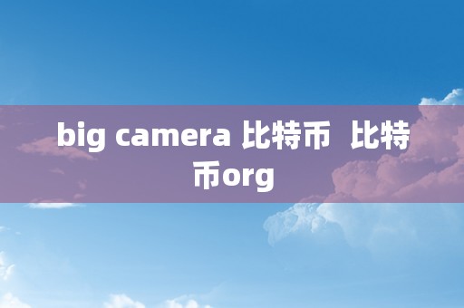 big camera 比特币  比特币org