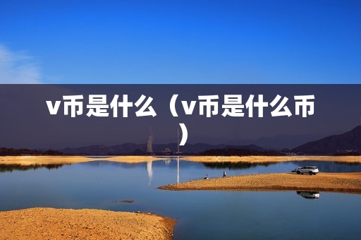 v币是什么（v币是什么币）