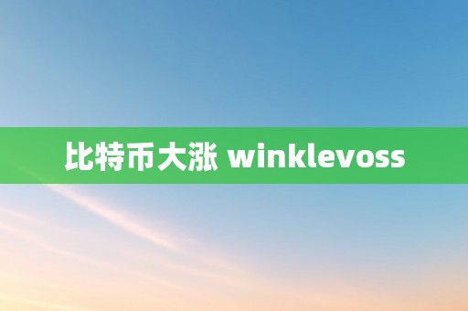 比特币大涨 winklevoss