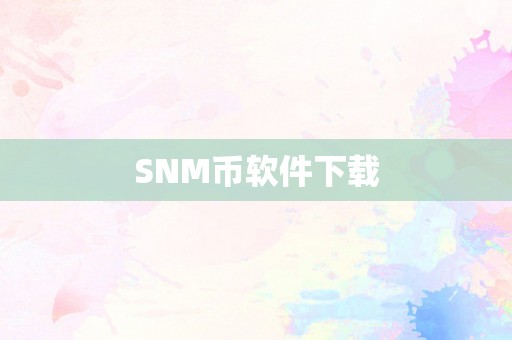 SNM币软件下载