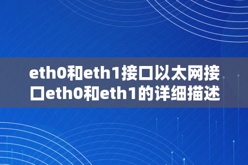 eth0和eth1接口以太网接口eth0和eth1的详细描述