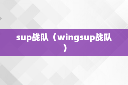 sup战队（wingsup战队）