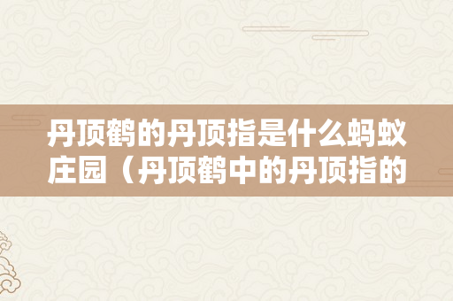 丹顶鹤的丹顶指是什么蚂蚁庄园（丹顶鹤中的丹顶指的是哪里）