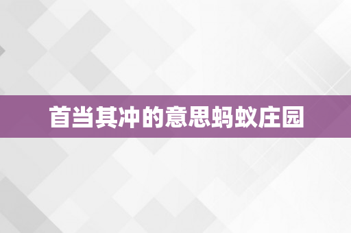 首当其冲的意思蚂蚁庄园