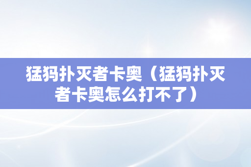 猛犸扑灭者卡奥（猛犸扑灭者卡奥怎么打不了）